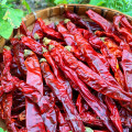 Wholesale natural spice herb Dried red hot pepper